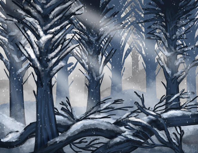 Snowy Forest